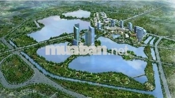 Cho thuê shophouse Celadon City trực tiếp Gamuda Land