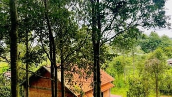 Nhà vườn cách Hồ Chí Minh 60 phút di chuyển, trung tâm phường Xuân Lập