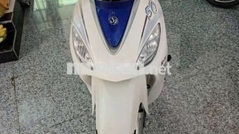SYM Angela 50cc Trắng xanh