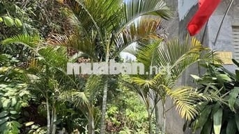 ĐẤT GIÁ NGON. TÔ NGỌC VÂN, GV - HXH TỚI ĐẤT - DT 57M2 CHỈ 3T3 TL 