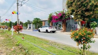 Bán lô đất vườn bưởi có sẵn thổ cư ngay Bàu Bàng Tp.HCM
