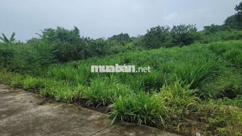 Chính chủ bán 10x30 tại Phường Tân Phú, ĐN
