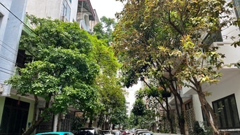 Chính chủ cần bán Nhà 2 thoáng*  40m2*  KĐT Mỗ Lao, sau THPT Hà Đông