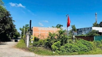 550tr BUÔNG SỔ Bán Nhanh Đất 2 Mặt Tiền, Tân Thông Hội, Củ Chi 200,1m2