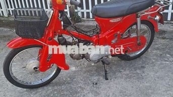 Cup 50 nhật màu đỏ xe đẹp máy êm bình kèn đủ BSđẹp