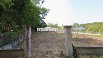 Tôi đi Úc bán lẹ lô đất 290m2 thổ cư (8m x32m),Nhuận Đức, Củ Chi