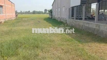 Tôi chính chủ cần bán 462m2 đất có 100m2 thổ cư ở thị xã Trảng Bàng