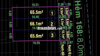 Đất Chính Chủ Cần Bán Gấp Trong Tuần 1/ Bình Trị Đông