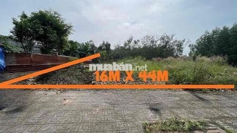 ĐẤT GIÁP SUỐI 619m2 ĐƯỜNG BỐ MUA, PHÚ GIÁO, BÌNH DƯƠNG