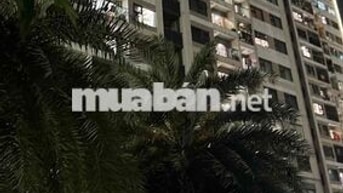 Cho thuê nhà TT 60 Ngõ Thổ Quan