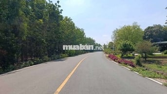 Chỉ cần 199 tr sở hữu ngay lô đất Mặt Tiền Đường DT756...