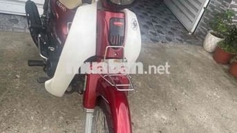 Cúp 50cc cho học sinh không cần bằng láy.