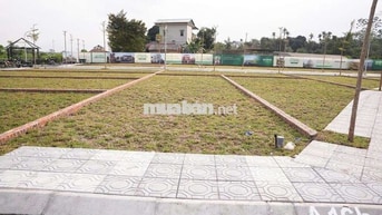 BÁN ĐẤT THẠCH HOÀ – PHÚ CÁT –100M, MT 6,2M, 2 Tỷ 579Tr,  HOÀ LẠC.