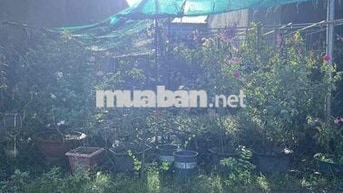 đất thổ cư 1 sẹt nguyễn thị thọ