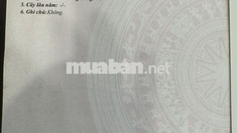 BÁN LÔ ĐẤT Ở TẠI ĐƯỜNG NGUYỄN ĐÌNH THI (LÔ SỐ 25B2-2), PHƯỜNG HÒA XUÂN