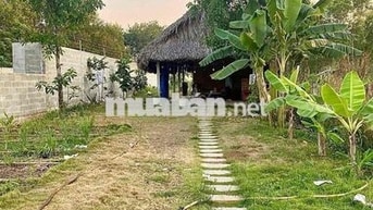 Bán Gấp Miếng Đất Mặt Tiền Đường Tỉnh Lộ - Đồng Nai