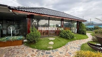 Bán gấp Homestay Sóc Sơn 1700m2, đang kinh doanh, thu 60tr/tháng