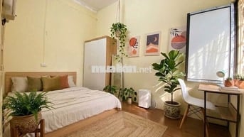 Có thể vào ở luôn Số 9 ngõ 803 đường Giải Phóng