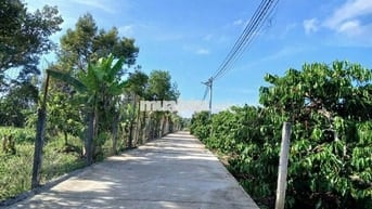 SỞ HỮU NGAY MẢNH ĐẤT AN YÊN GIỮA LÀNG CHÙA ĐẠI NINH