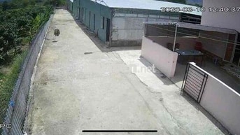 Bán đất Nông nghiệp xã Xuân Hoà, Huyện Xuân Lộc đường xe tải 10 tấn