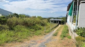 BÁN ĐẤT 2 MẶT TIỀN TỈNH LỘ 3 – THÔN CÂY XOÀI, SUỐI TÂN, CAM LÂM, 890M2