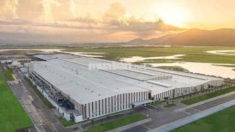 Chú Hai muốn bán gấp miếng đất để lo tiền học cho con gái