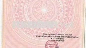 Góc 2 mặt tiền 1 sẹc đường nguyễn ái quốc  Đường nhựa 7 m  Sổ hồng thổ
