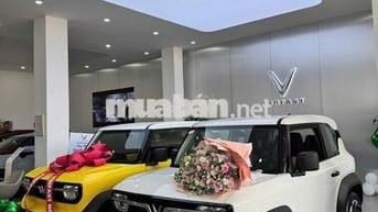 Xe điện VinFast VF3 Đa dạng màu