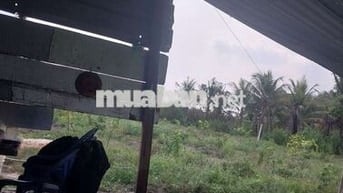 Cần bán miến đất ace có nhu cầu thì liên hệ mình nhe