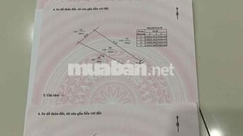 đường trần quang khải ( cầu đức thành 1)