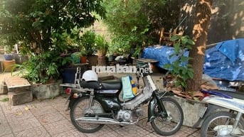 Honda Cub 90 Xanh rêu Cổ điển