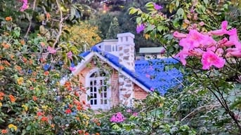 Bán Villa nghỉ dưỡng triền đồi Đống Đa & khu Camping rừng thông Đà Lạt