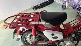 Honda Cup màu Đỏ