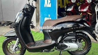 Honda Scoopy Đen