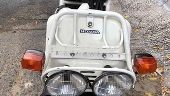 Honda Zumer màu Trắng
