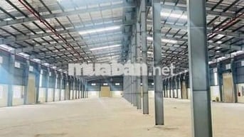 cho thuê kho xưởng khu vực đức hòa , tỉnh tây ninh ( Long An Củ ) 
