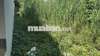Hàng Hiếm. Nền Đẹp Rộng Rãi Hơn 600M Gần Siêu Thị AEON MALL Cần Thơ.
