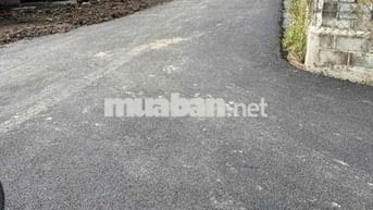 cần bán đất chính chủ tại Trung Lập Thượng, Củ Chi, tp. HCM 130m2