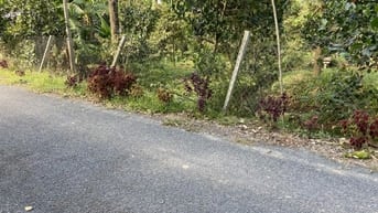 Mặt tiền đường nhựa DH54C Views sông Ba Rài 250m2