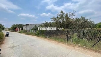 730m2 ĐƯỜNG BÊ TÔNG 5m FULL HỒNG DÂN CƯ ĐÔNG