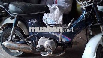 Honda Chaly màu Xanh