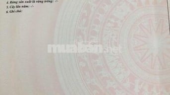 BÁN ĐẤT VƯỜN SỔ RIÊNG AN VIỄN  TRẢNG BOM  ĐỒNG NAI