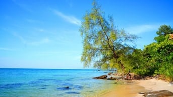 Chính chủ cần bán Gấp Gấp Gấp.......