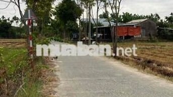 đất thổ cư hoàn toàn 1,950 tỷ, phù hợp làm biệt thự vườn tại Đà Nẵng