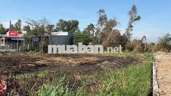 🏡BÁN ĐẤT MẶT TIỀN RỘNG 30 MÉT - TỈNH LỘ 919, XÃ CỜ ĐỎ, TP. CẦN THƠ