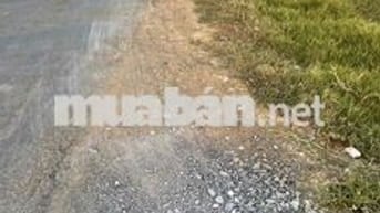 Mảnh đất 1090m2 mặt tiền đường nhựa như hình trên.
