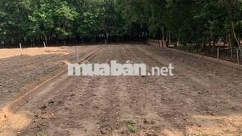 Bán Đất Dân 527m2 Có Thổ Cư Ngay Trung Tâm Uỷ Ban Xã Gần Chợ 100m