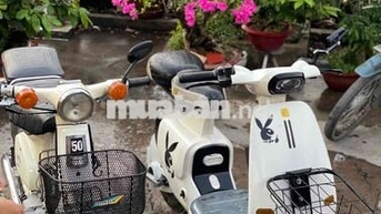 Xe điện và xe cup 50cc