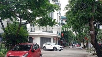 BÁN ĐẤT TÁI ĐỊNH CƯ ĐẶNG VŨ HỶ