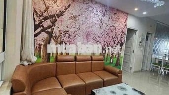 Cho thuê 3PN giá 11tr Vũng Tàu Center - 93 Lê Lợi - Vũng Tàu